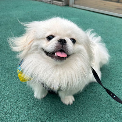 福