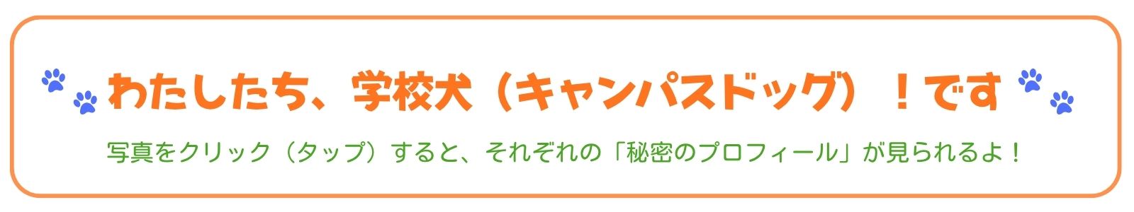 わたしたちキャンパスドッグです