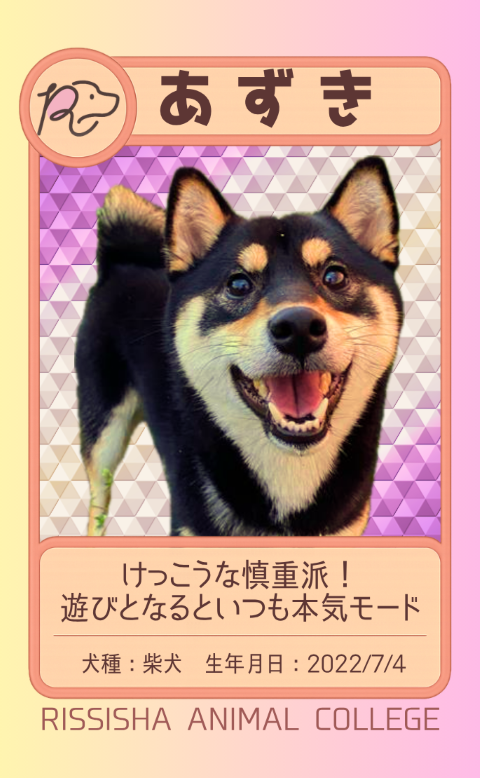 あずき