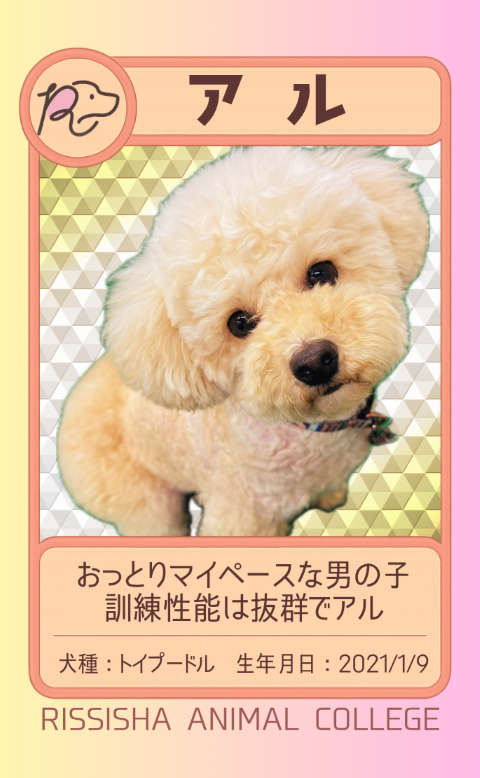 アル