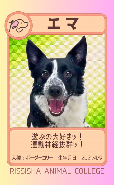 エマ