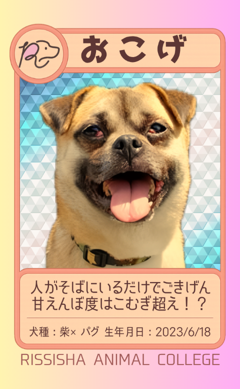 おこげ