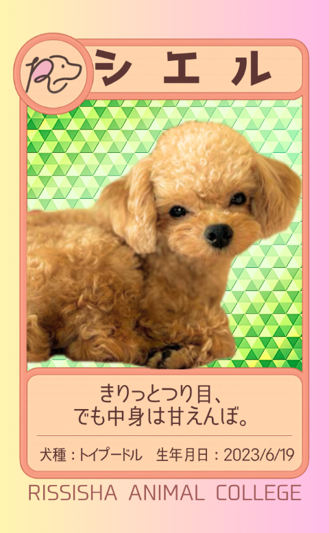 シエル