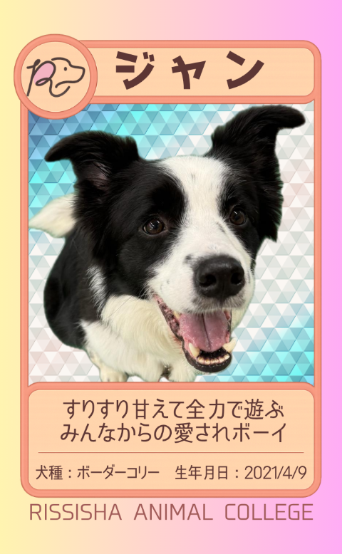 ジャン