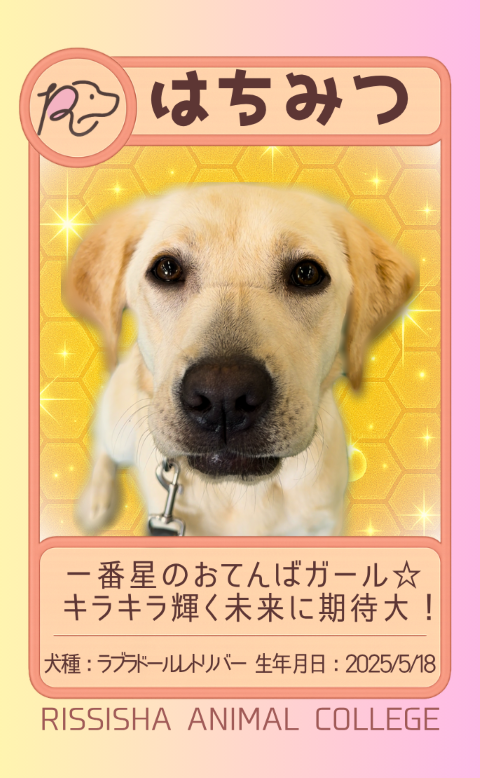 はちみつ