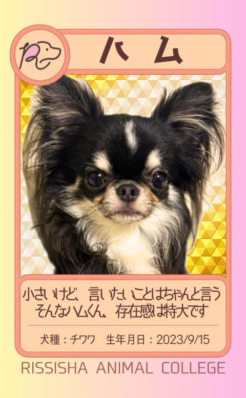ハム