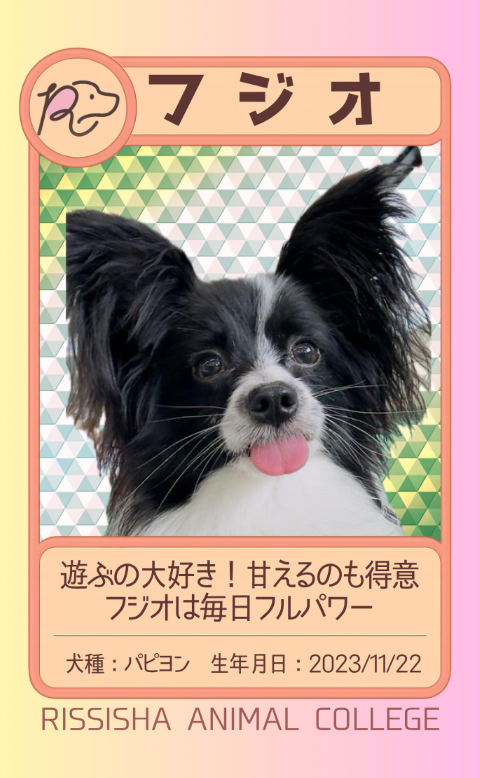 しお