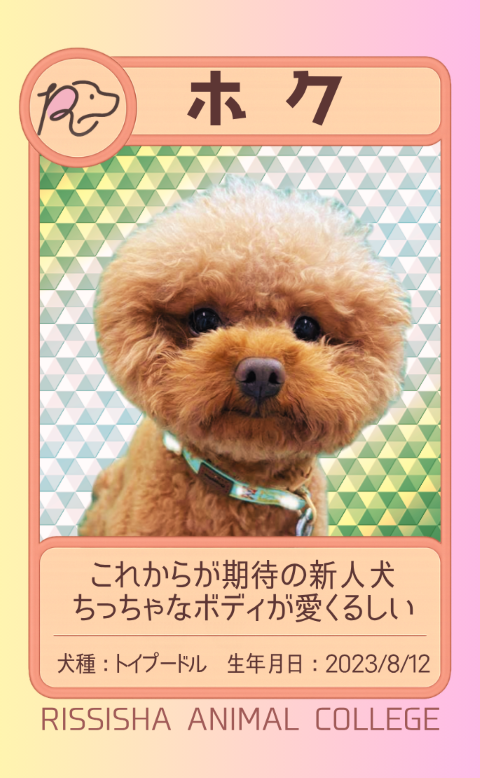 ナク