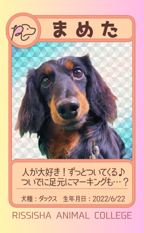 めた