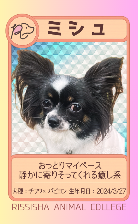 ミシュ