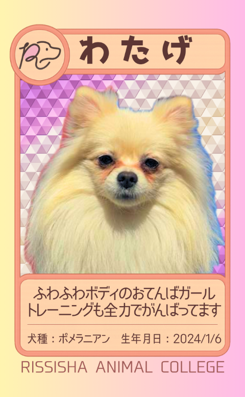 たけ